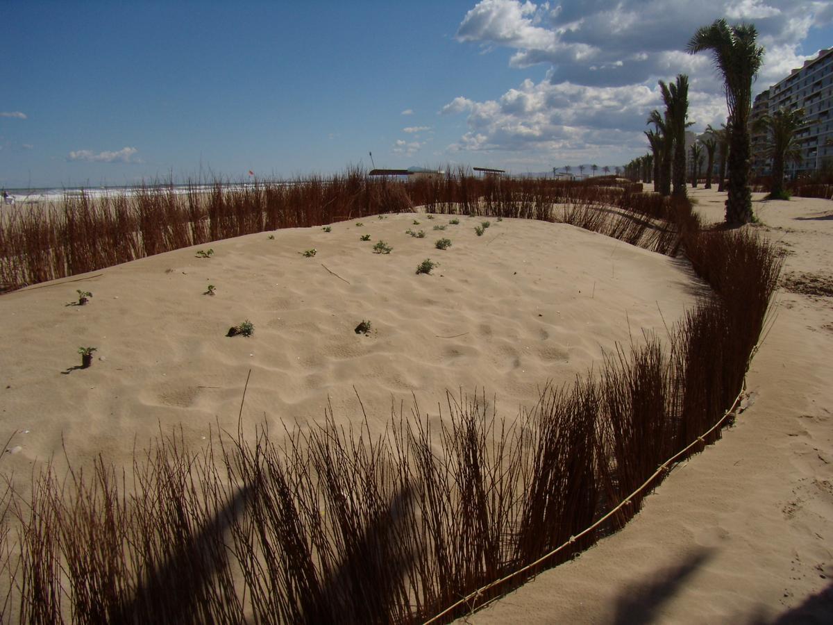 Beach & Port Gandia Exterior photo